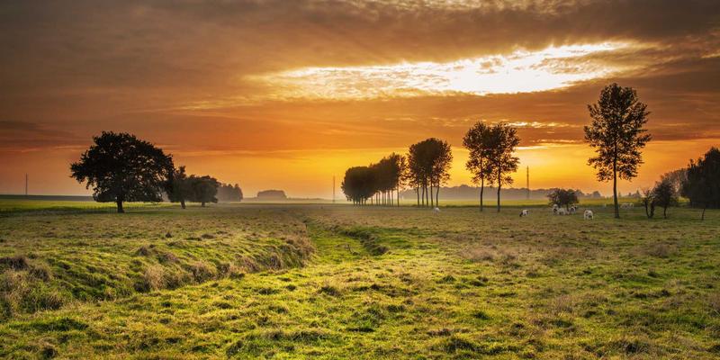 ASD & Teens: Why University Isn't the Only Path Forward — ASD & Autism article by Jared Dubbs